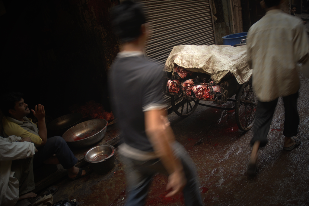 This image depicts a scenery outside of a slaughterhouse in Delhi in India