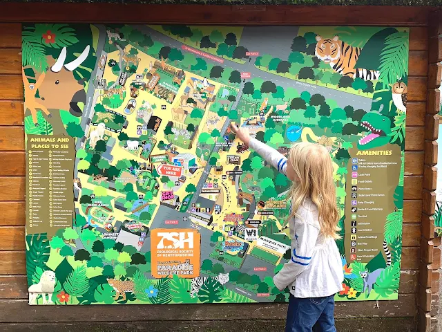 Looking at  a large map of Paradise Wildlife Park