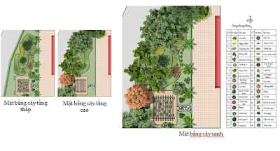 mặt bằng cây xanh khu vực thiết kế