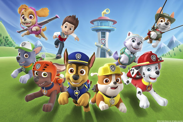 paw patrol shelves