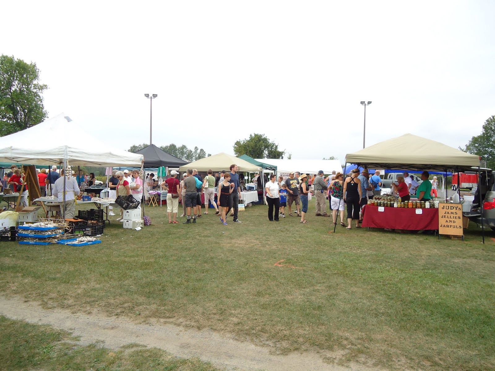 Small Purse, Big Garden The Verona Garlic Festival