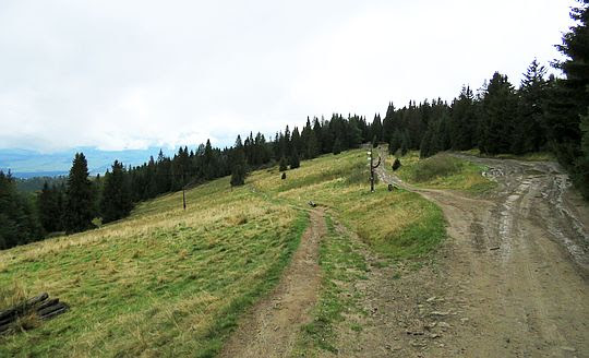 Wisielakówka (1207 m n.p.m.). Wisielakówka (1207 m n.p.m.).