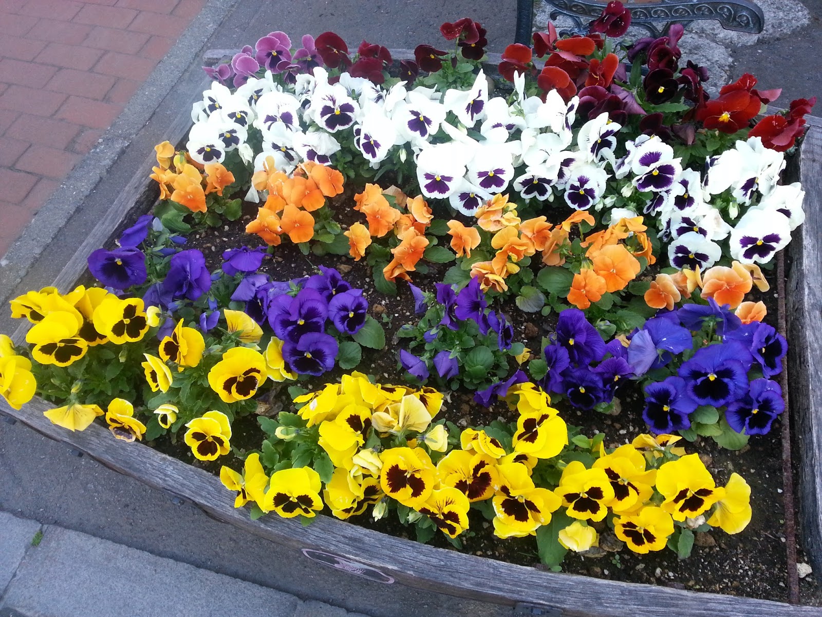 Pu & Eat Everyday Japan trip Otaru,小樽 street, Glass Factory & Music