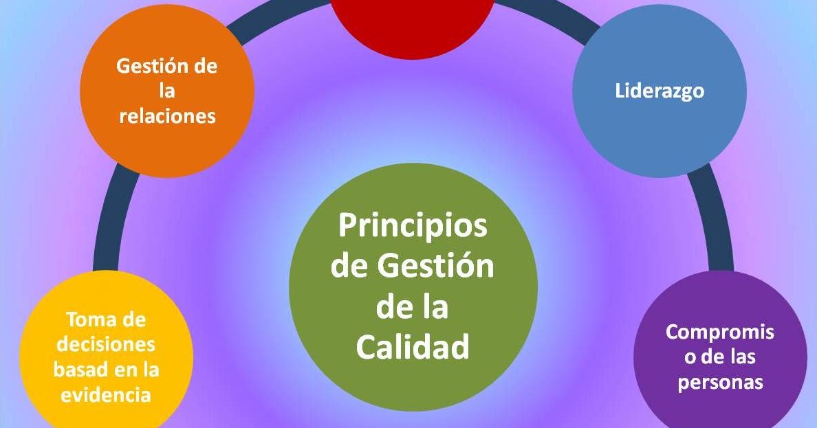 EN CALIDAD Principios de Gestión de la Calidad ISO 90002015