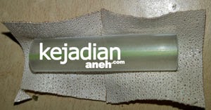 Cara Menegakkan Telinga Anak Anjing Kejadian Aneh Tapi Nyata