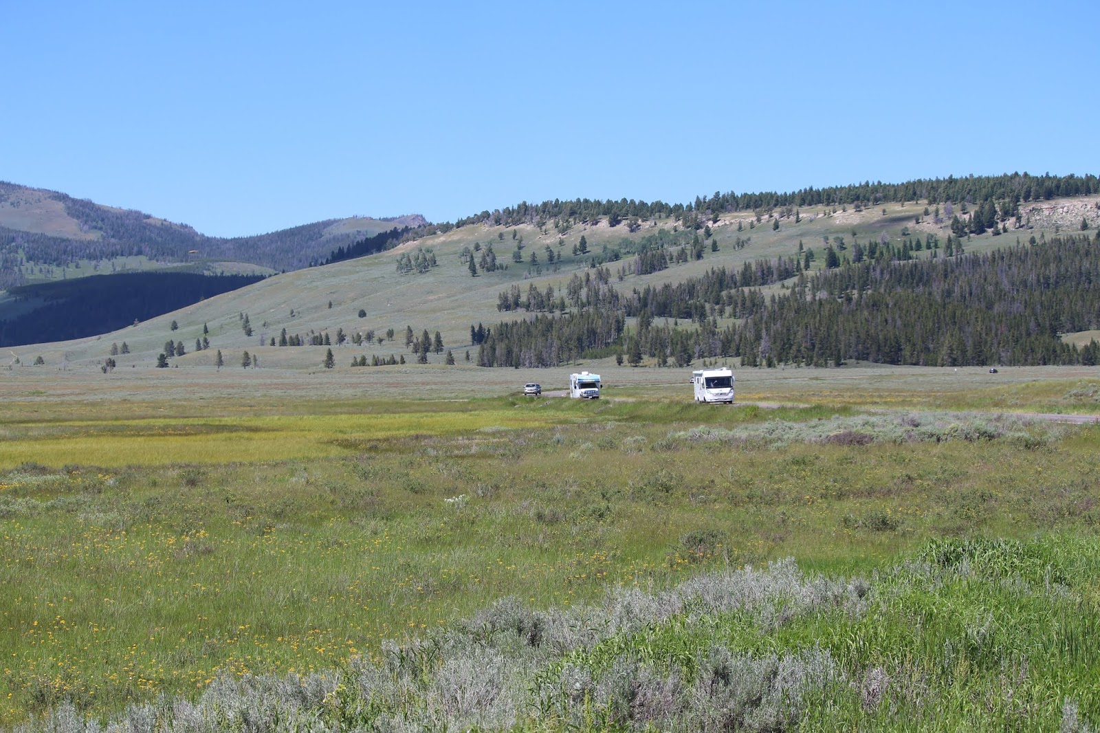 Armand's Rancho Del Cielo Wholesale RV Shipments Will Reach AllTime High