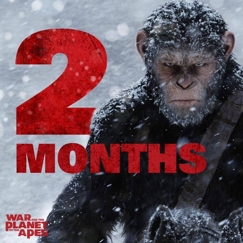 war of the planet of the apes full movie hd war of the planet of the apes full movie hd