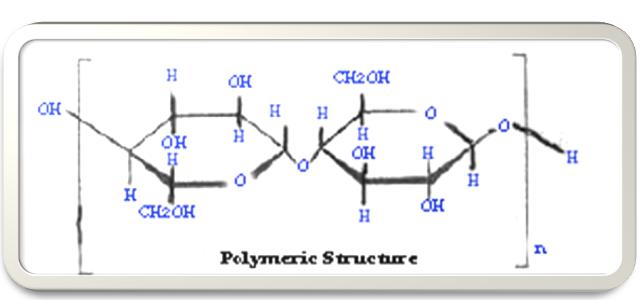 what-is-viscose-polymeric-structure-4textile