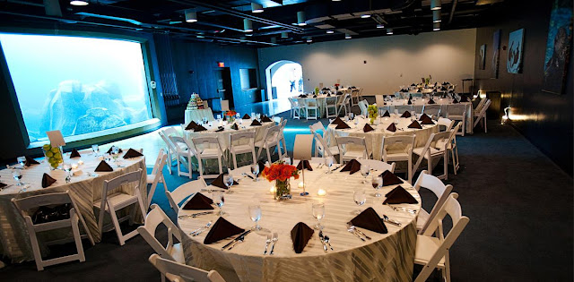 Wedding Venues In Pittsburgh Zoo Wedding pittsburgh zoo hours Wedding Venues In Pittsburgh Zoo Wedding pittsburgh zoo hours
