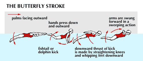 Tips on teaching the breaststroke to swimmers