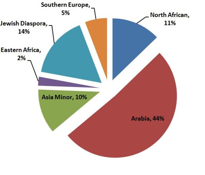 dna shows where people in arab countries came from and some come