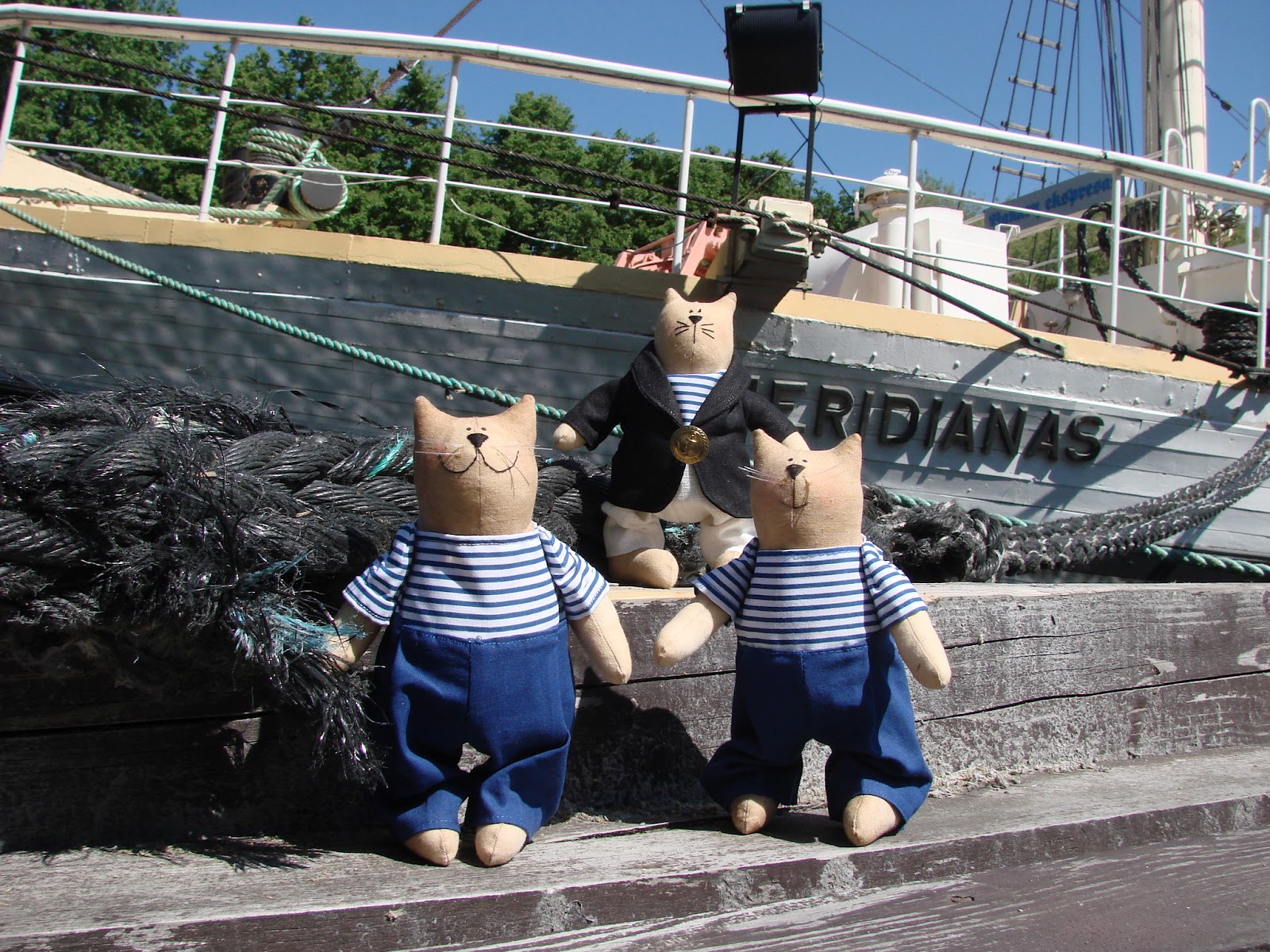 Капитан парусника седов. Барк крузенштерн и седов. Капитан мореход. Мореход объявление моряков. Ру.