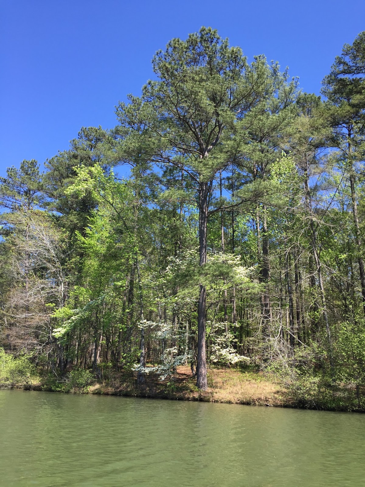 Oak Mountain State Park, Alabama