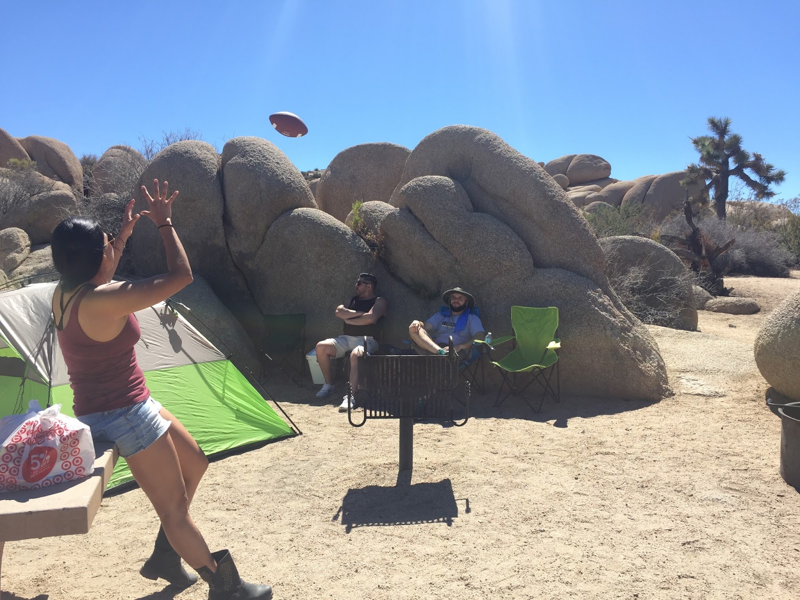 24 Hours in Joshua Tree National Park The Active Habitat