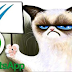 WhatsApp prepares to become a customer relationship App