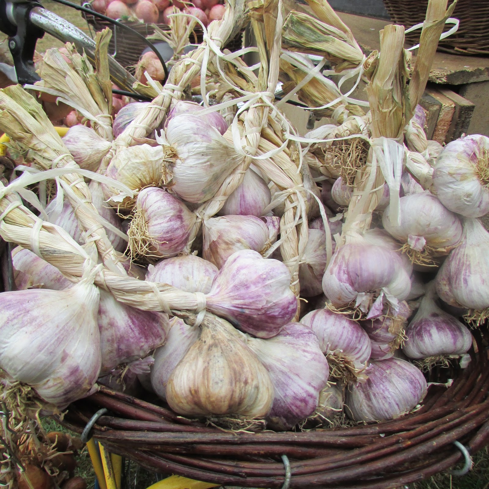 Livingin22 Roscoff Onion and Garlic Festival