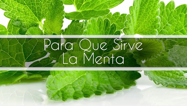 Propiedades curativas de la menta