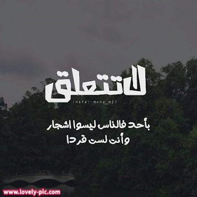 خلفيات مكتوب عليها حكم عن الحياة خلفيات مكتوب عليها حكم عن الحياة