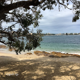 Spit to Manly bush walk