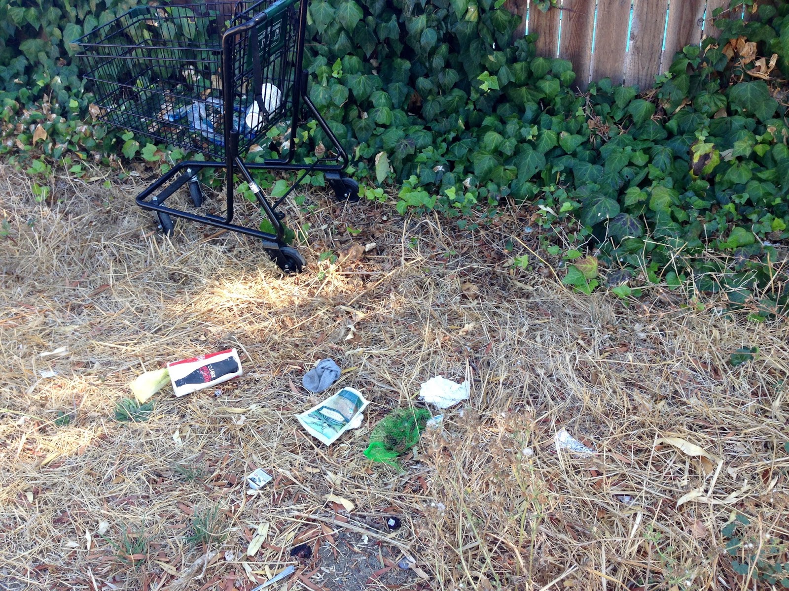 Honey's Treasures California's Litter Problem