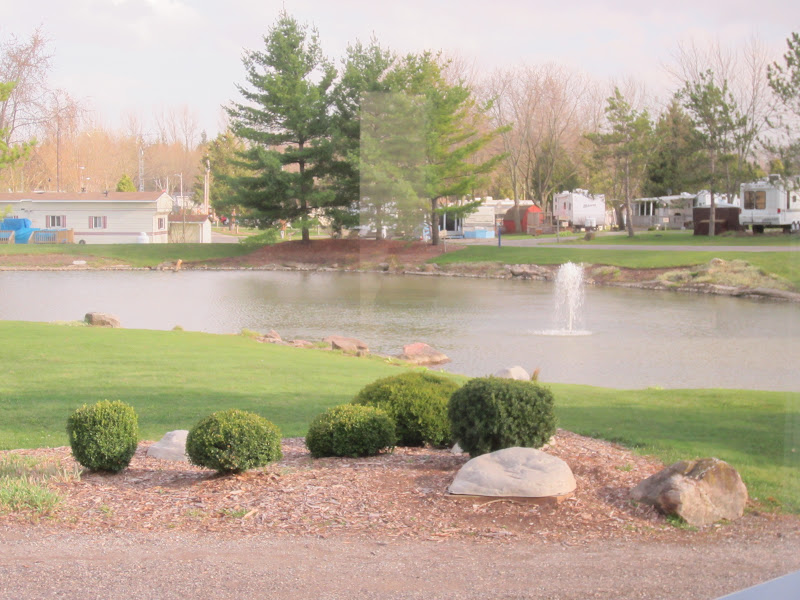 wayside wanderings Settled In at Green Acre Park, Waterloo