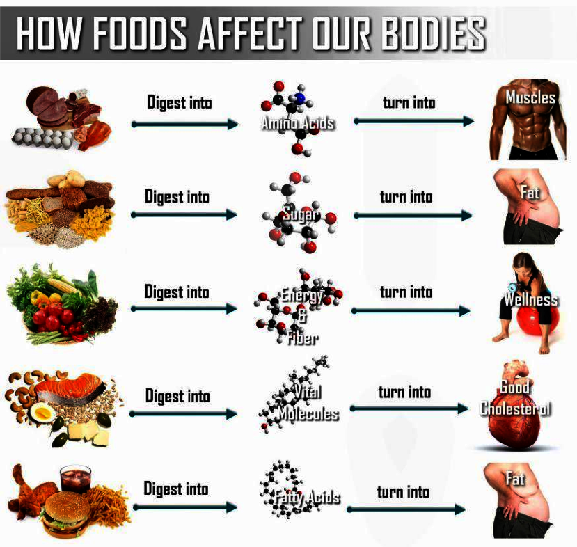The Sugar Fix How Foods Affects Our Bodies!