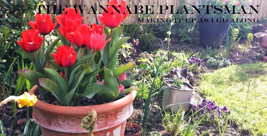 The Wannabe Plantsman