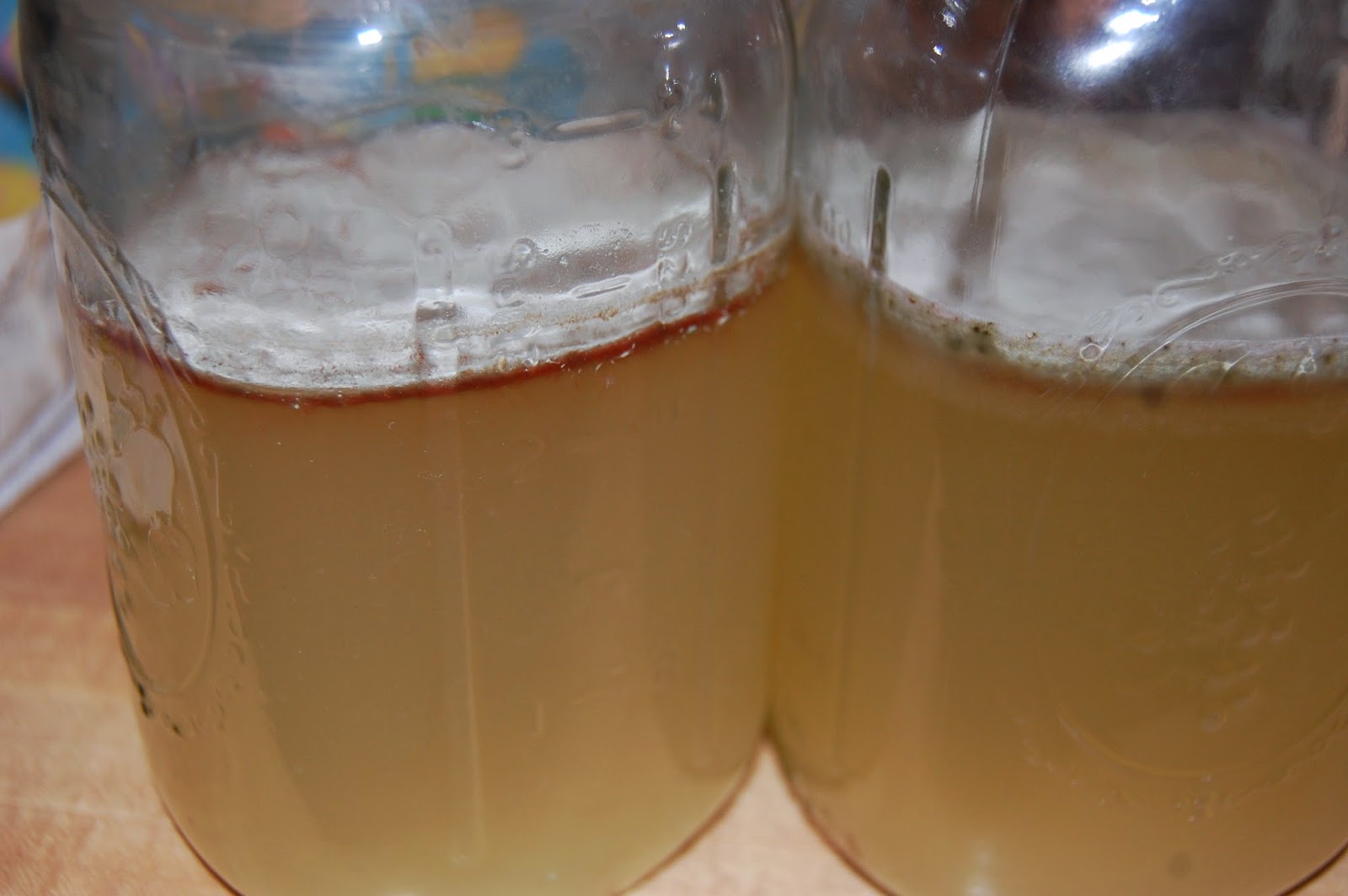 how-to-clean-bearded-dragon-vinegar.jpg
