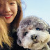 SNSD TaeYeon's adorable photos with Zero and Red Velvet's Yeri