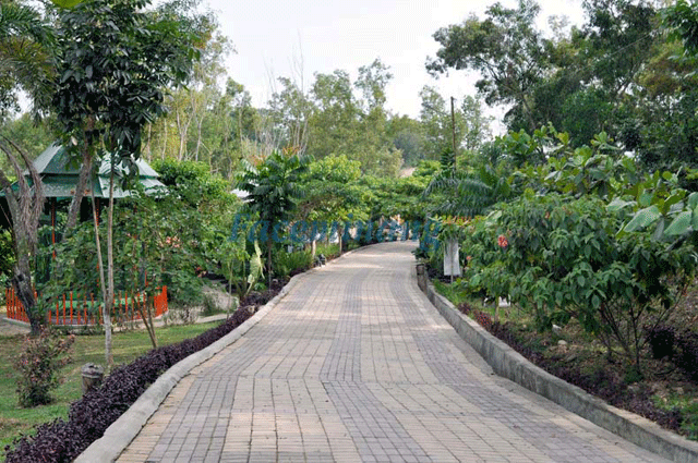 Taman Satwa Kandi
