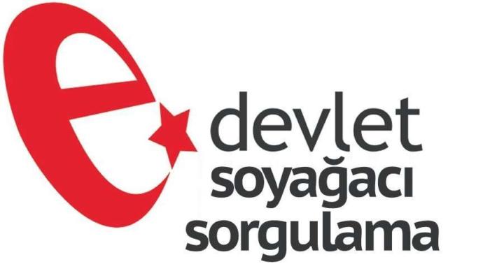 Soy Ağacı Sorgulama Alt-Üst Soy bilgisi