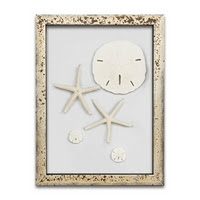 https://www.ceramicwalldecor.com/p/starfish-and-sand-dollars-frame-wall.html