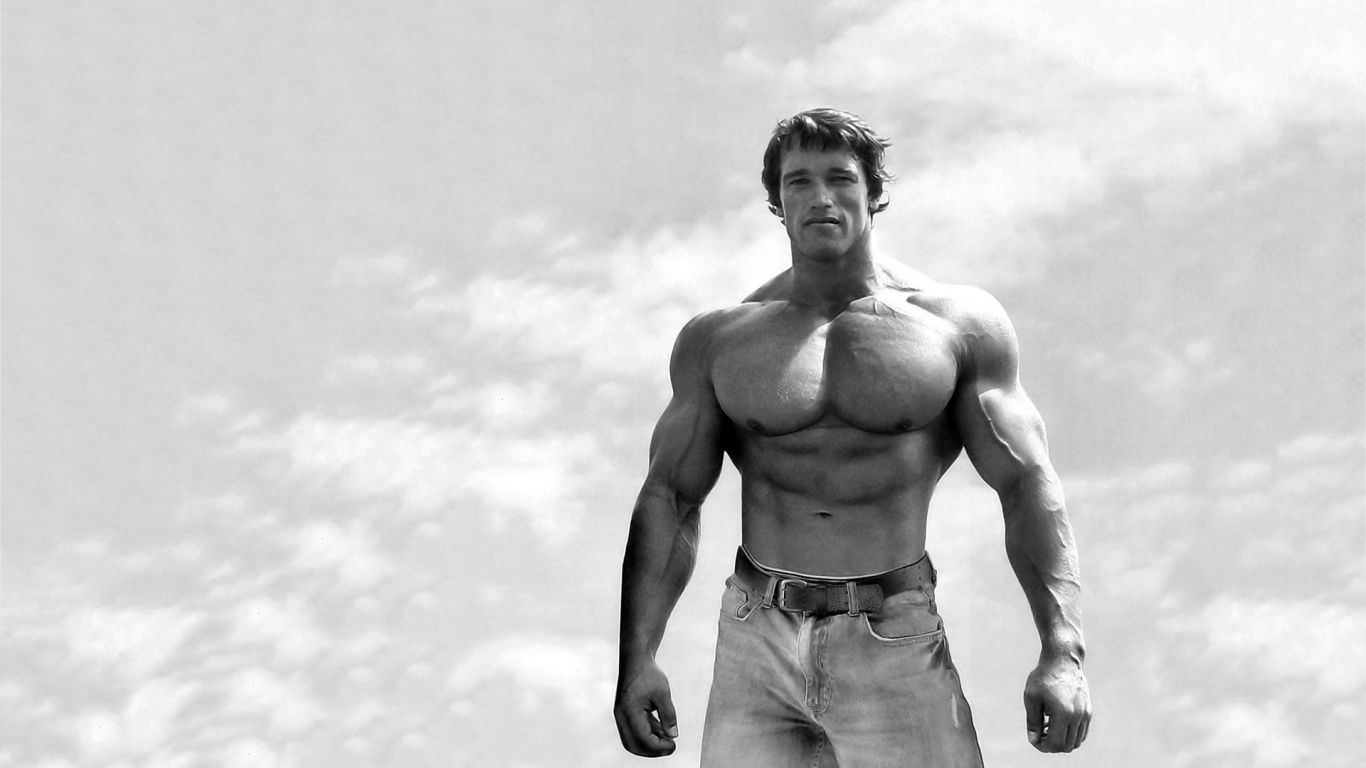 Arnold schwarzenegger twitter picture