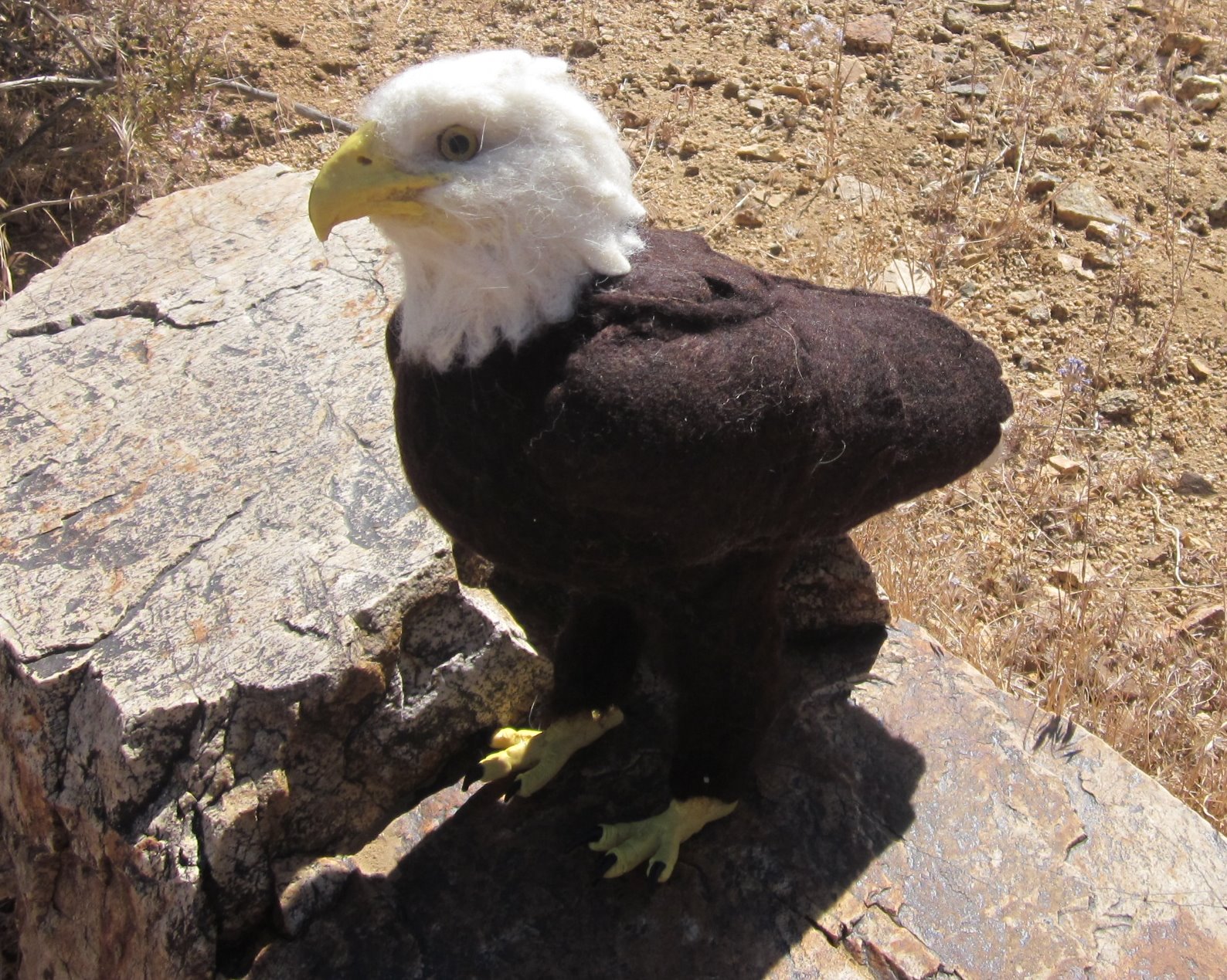 Needle Felted Art by Robin Joy Andreae Bald Eagle Commission