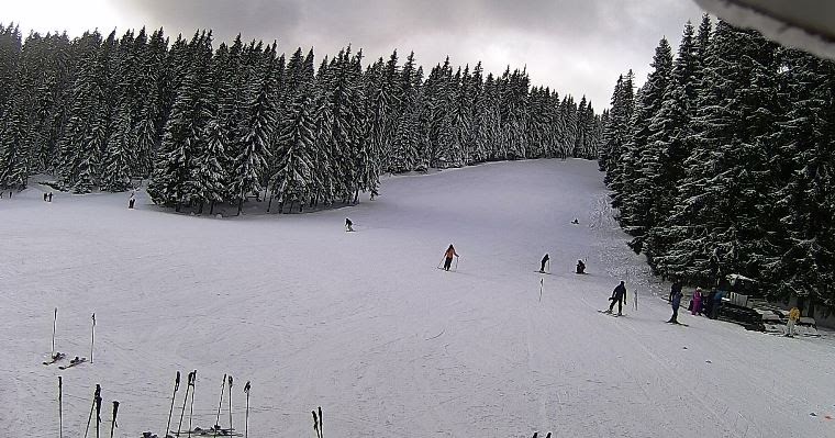 Romania Live: Partia Baisoara live webcam Muntele Baisorii