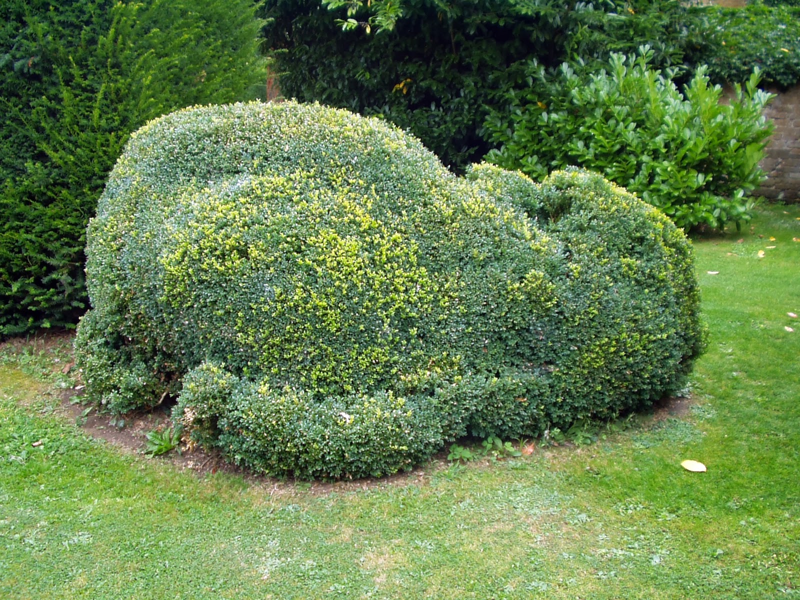 Roy's blog: HORTICULTURAL CURIOSIITIES - topiary