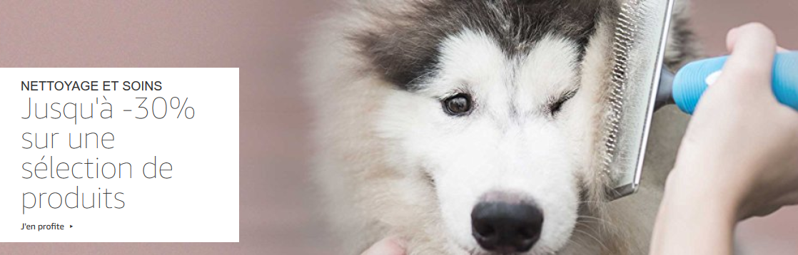 Accessoires chiens, Animalerie pas cher : Laisses, collier, harnais ...