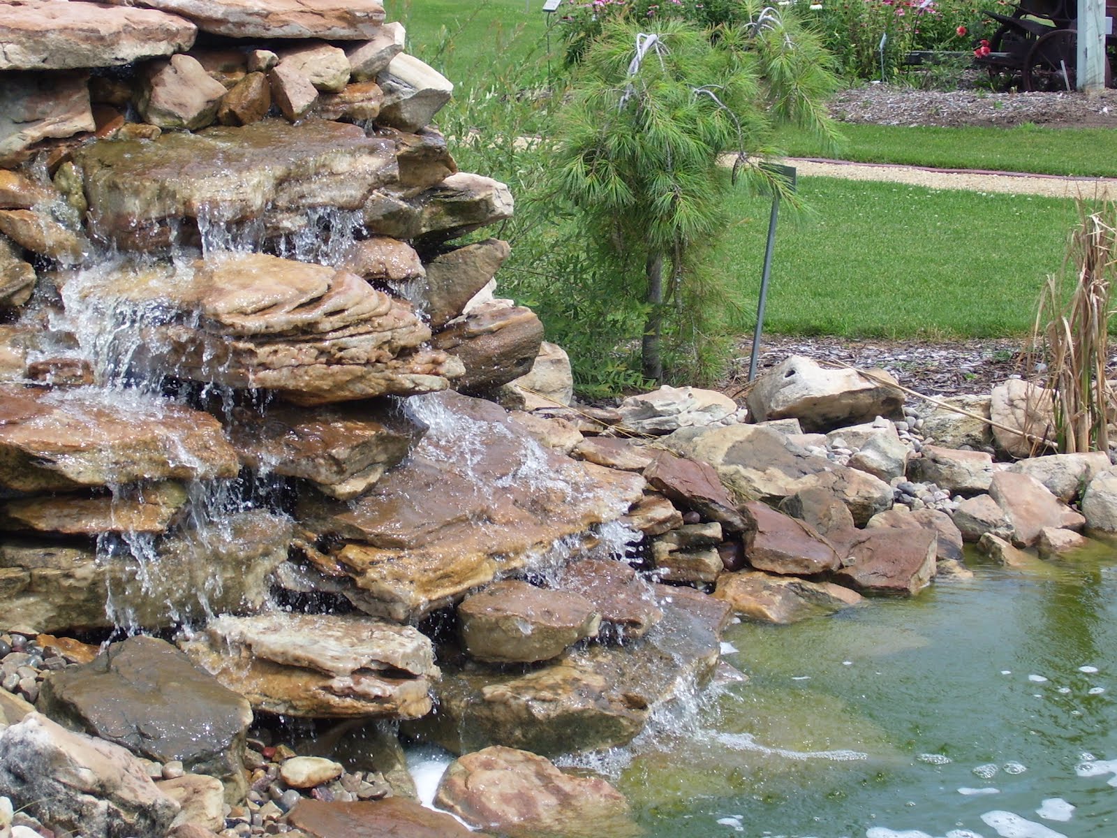 Talking to Plants Hancock Agricultural Research Station
