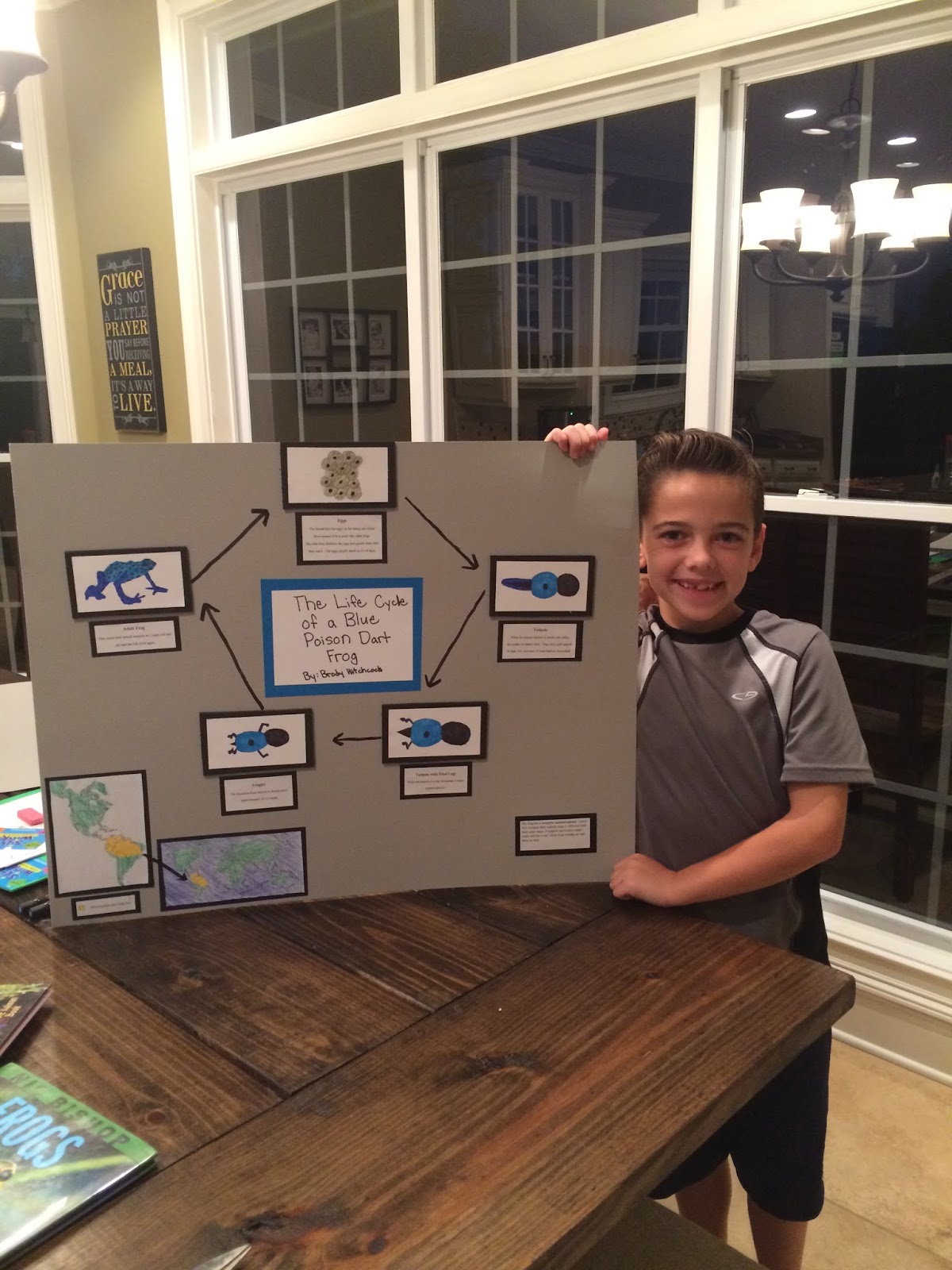 3rd Grade Life Cycle