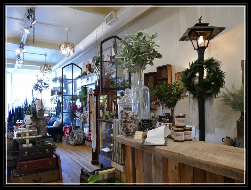 Downtown Troy Bluebird Home Decor