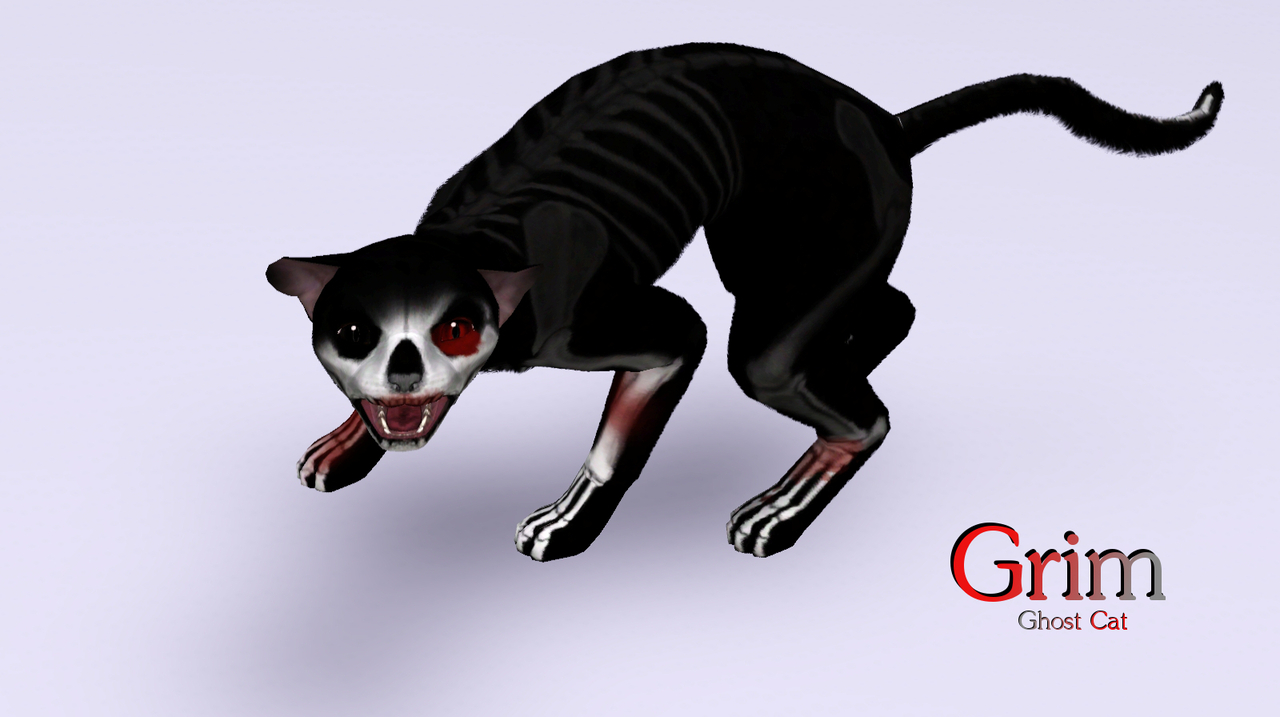 Wicked pets. Supernatural Cats. Кэт из сверхъестественного. Wicked Pets SIMS 4. Cat Ghost.
