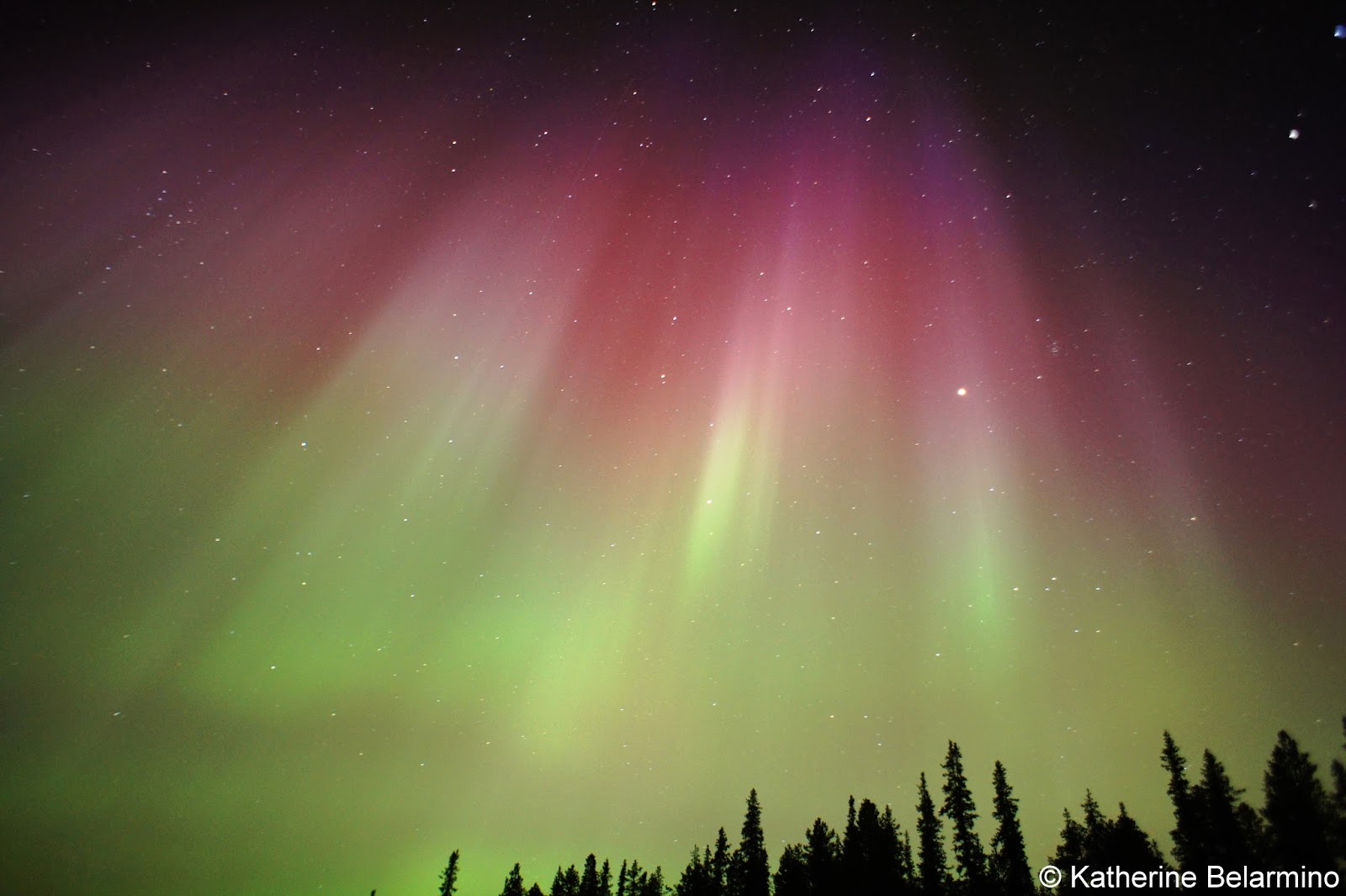 Pink Northern Lights