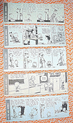 Calvin And Hobbes Strips
