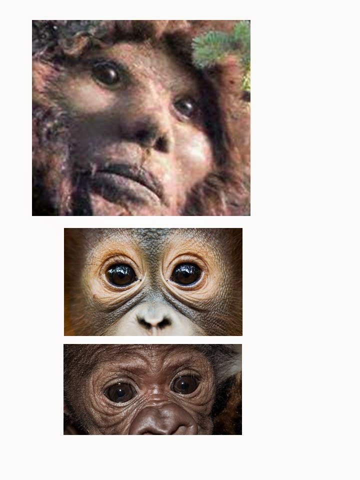 Breaking: Dr. Jeff Meldrum Uses Science To Explain Todd Standing&rsquo;s