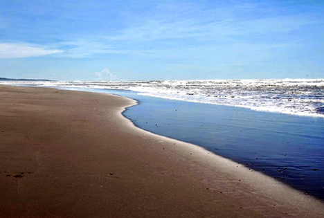 Pantai Cipatujah Pantai Cipatujah