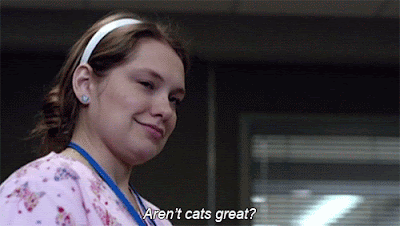 overview for daisy__dukes