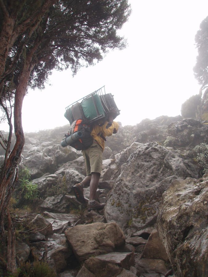 ENLACIMA-Porteador-camino-a-Shira-Hut-Ruta-Machame