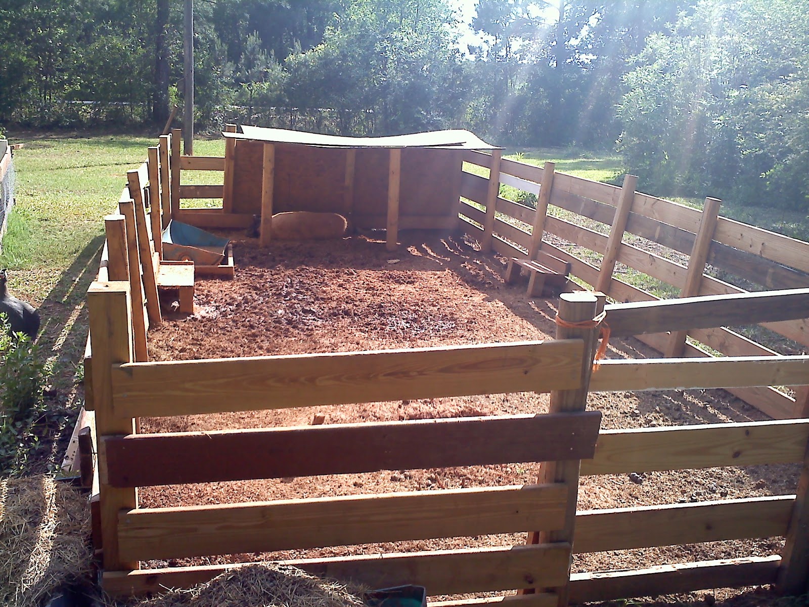 A And B Farm How To Build A Pig Pen