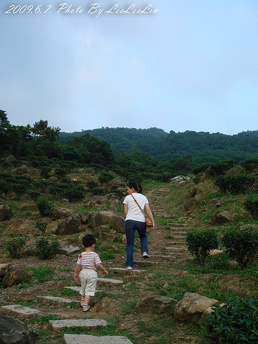 三峽親子遊|熊空休閒農場|熊空茶園步道