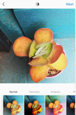 APPLICAZIONE UFFICIALE INSTAGRAM PER IPHONE APPLICAZIONE UFFICIALE INSTAGRAM PER IPHONE